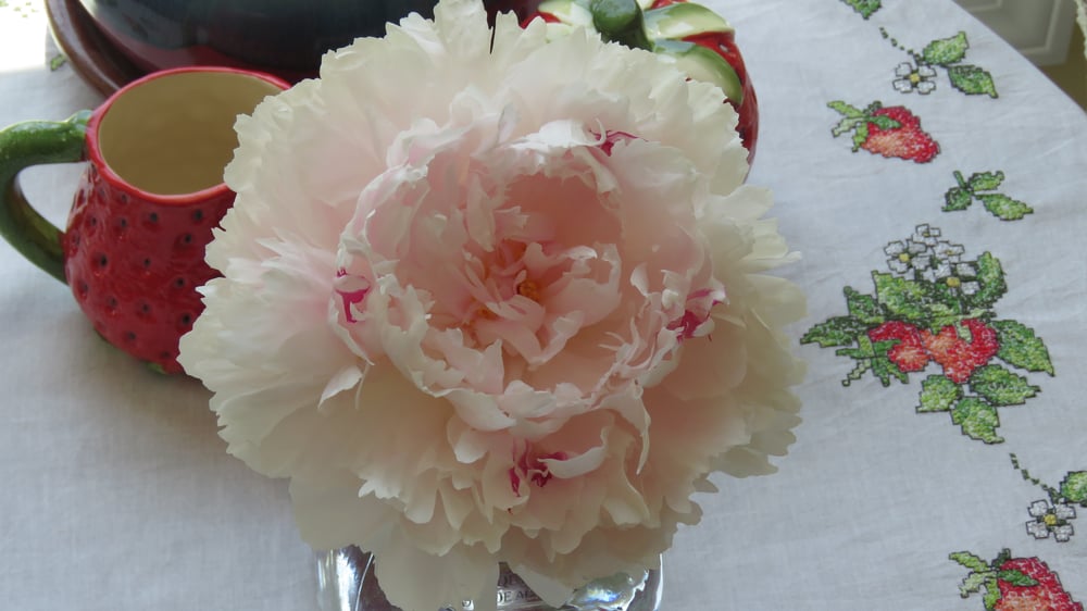 Peonies