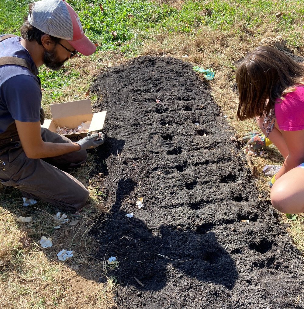 PlantingGarlic