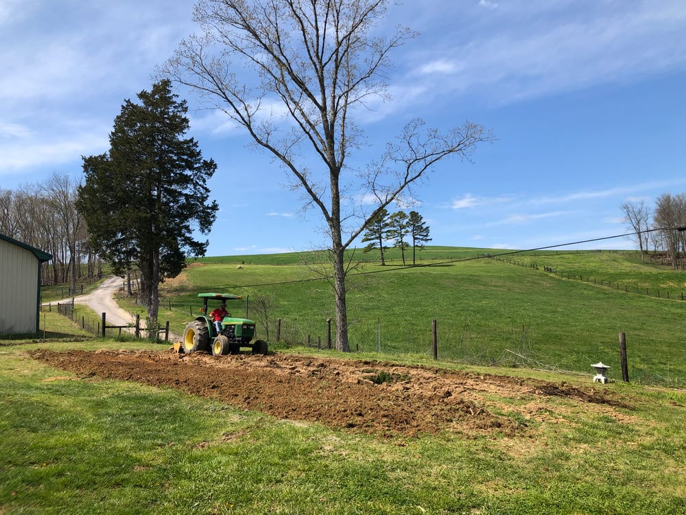 how to plant a victory garden