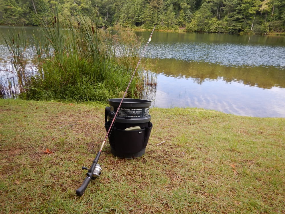 Spin casting gear with youngsters