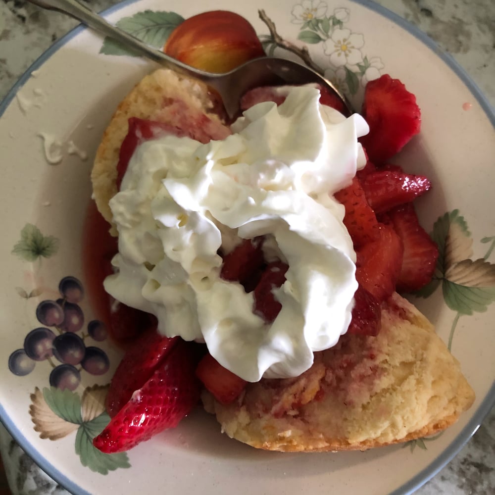 Strawberries on a favorite sweet biscuit