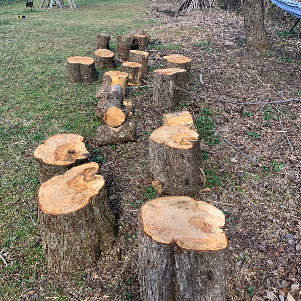 Stump Obstacle Course