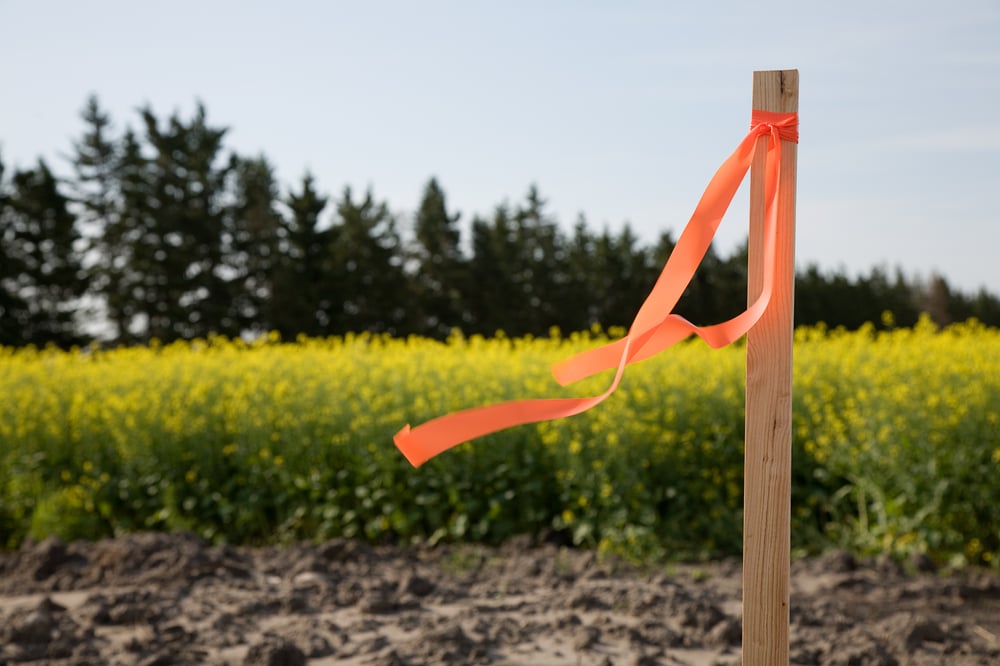 how to clear land to build a homesite