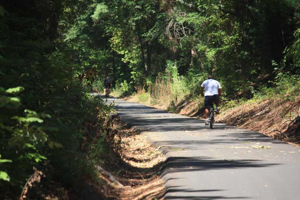 Swamp Rabbit