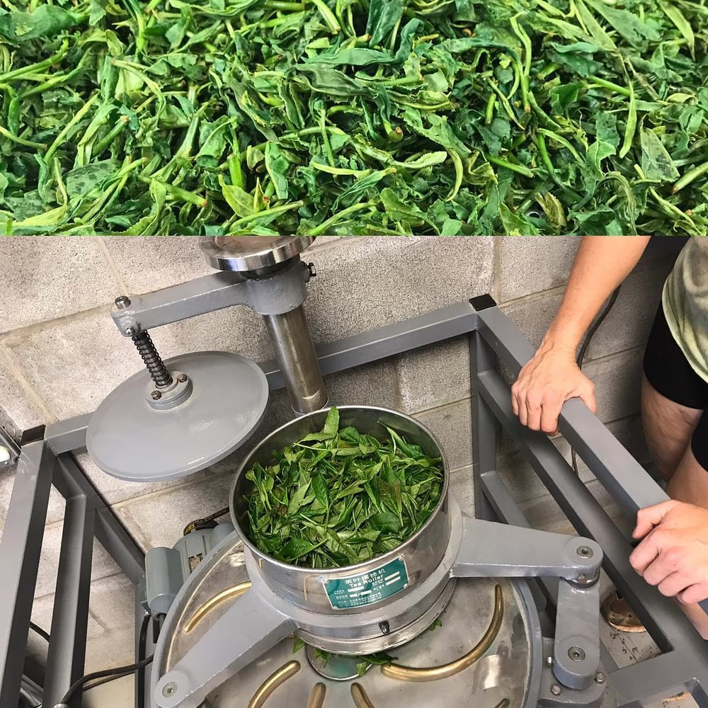 Tea processing