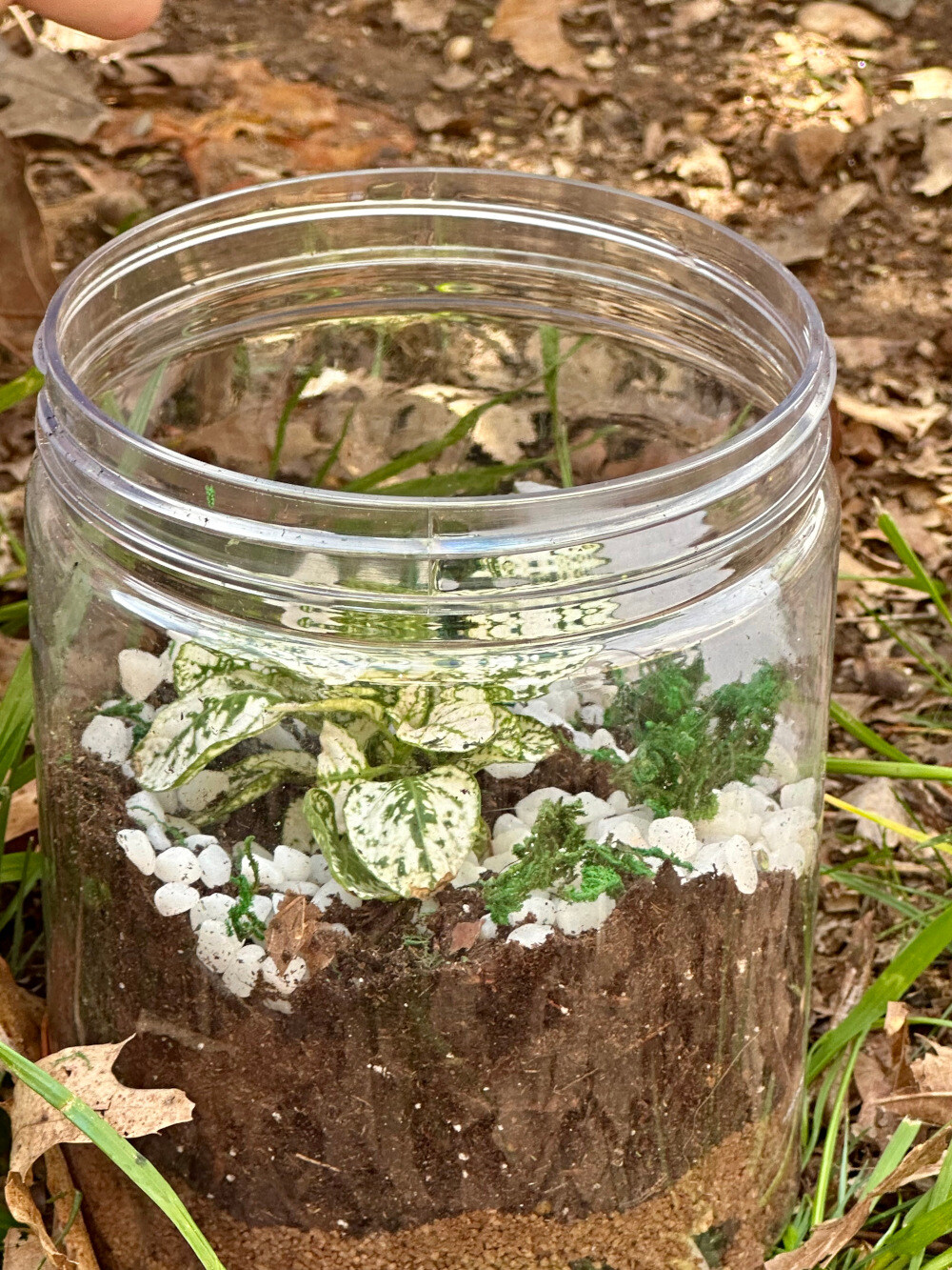 Terrarium Finished