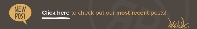 Recent Posts