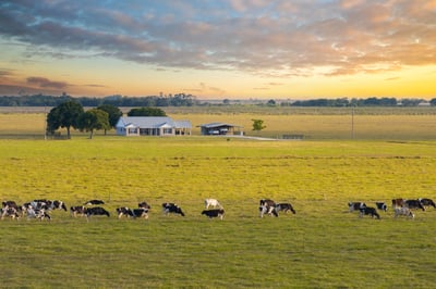 a guide to structuring conservation easements