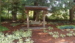 swing in hosta garden