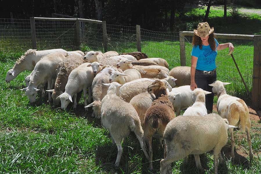 Female shepherd with her sheep