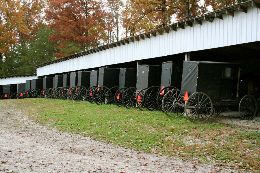 mennonite buggies