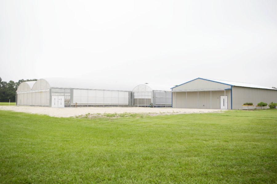 Traders Hill Farms aquaponics barns