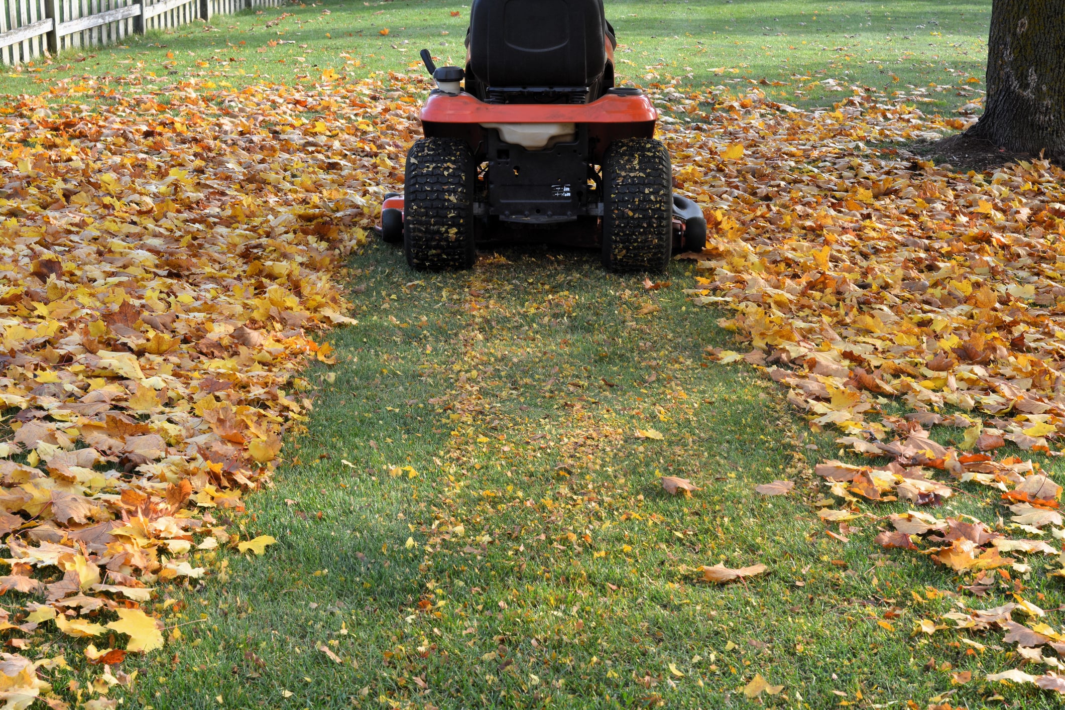 How to Mulch Leaves With a Riding Mower for a Perfect Lawn