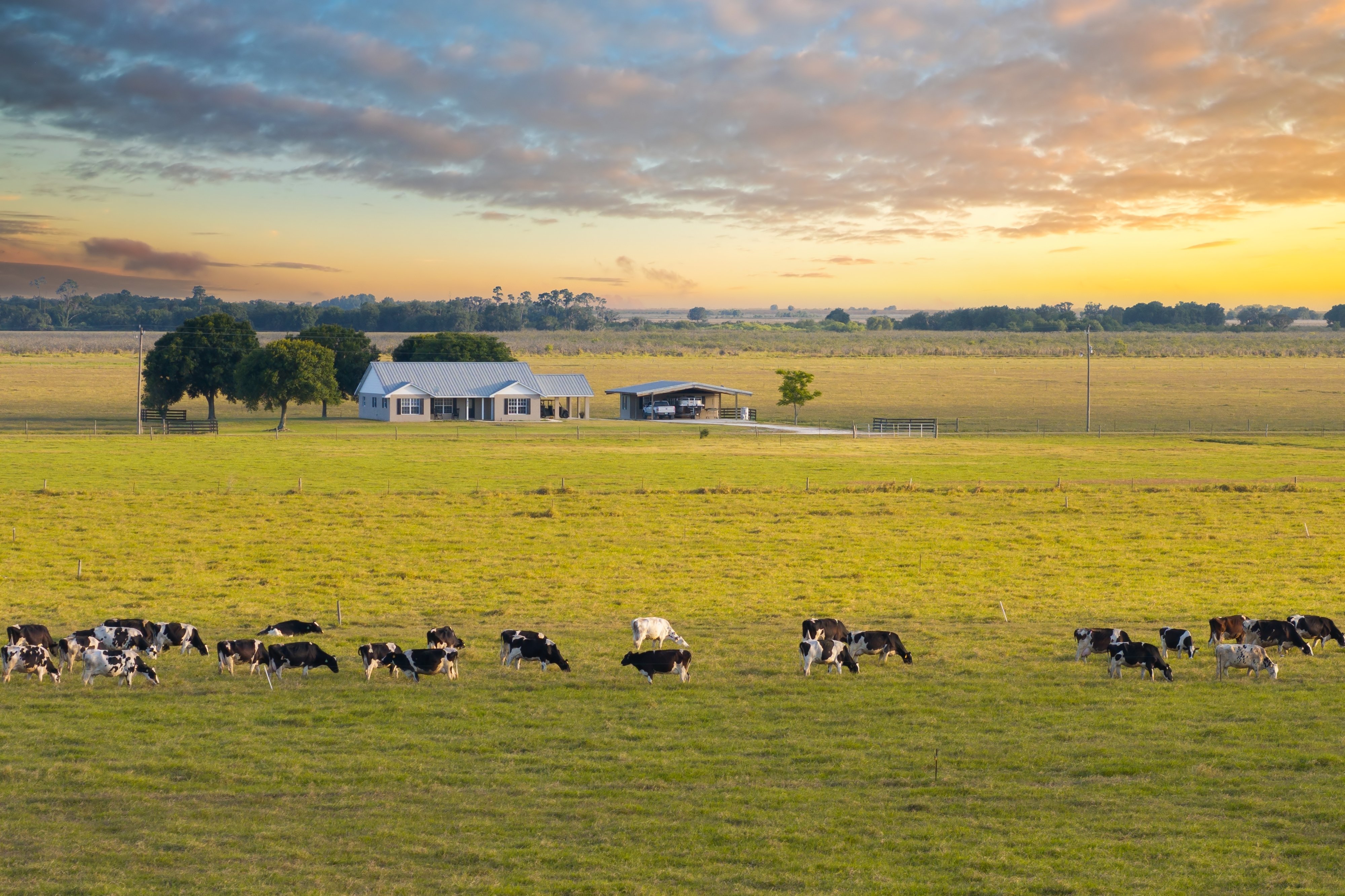 A Guide to Structuring Family Conservation Easements
